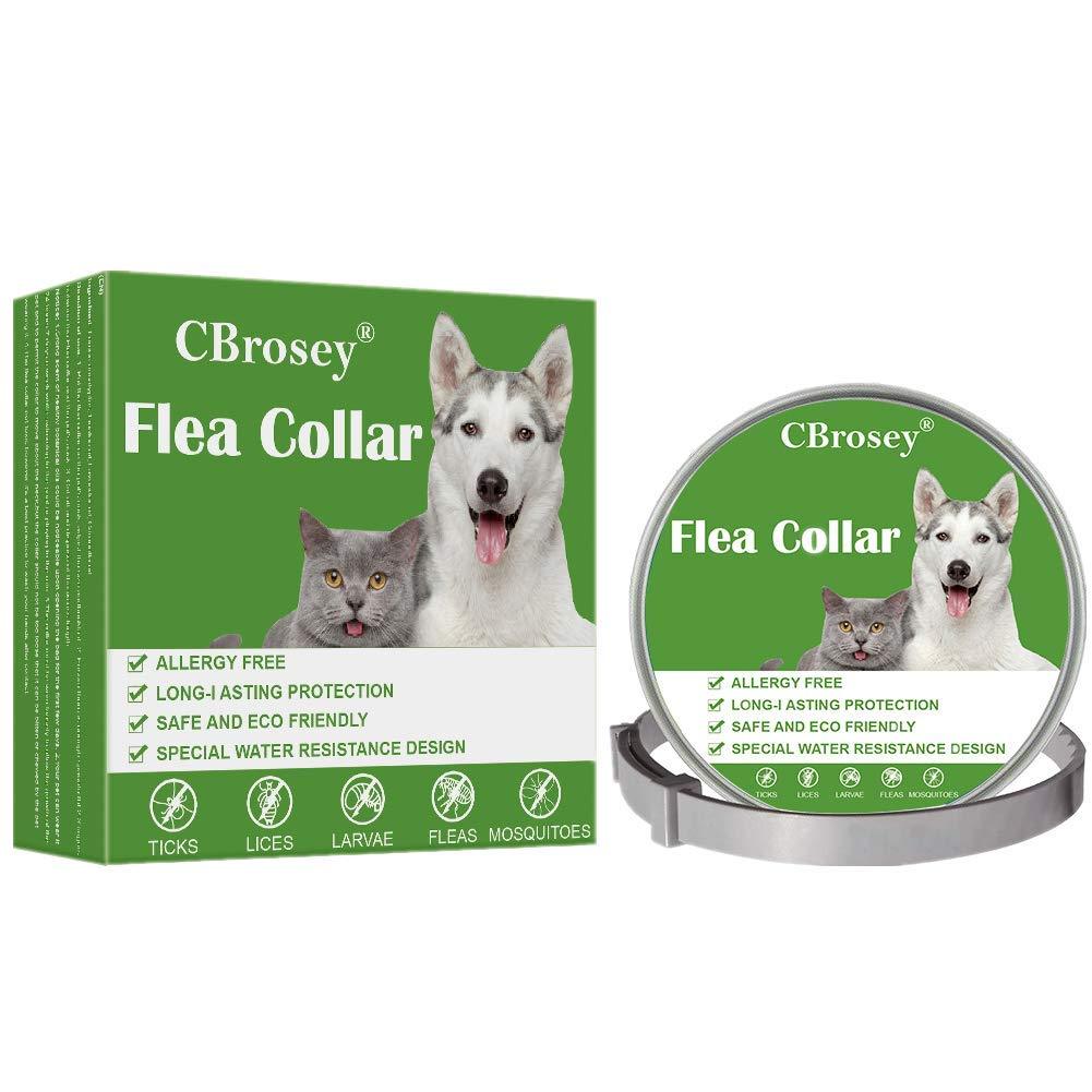 CBROSEY Flea Tick Collar,Flea Treatment For Dogs,Cat Flea Treatment,Flea Treatment Collar,Waterproof Adjustable 25 inches Anti Flea Collar Fits for Most Dogs Cats Green - PawsPlanet Australia
