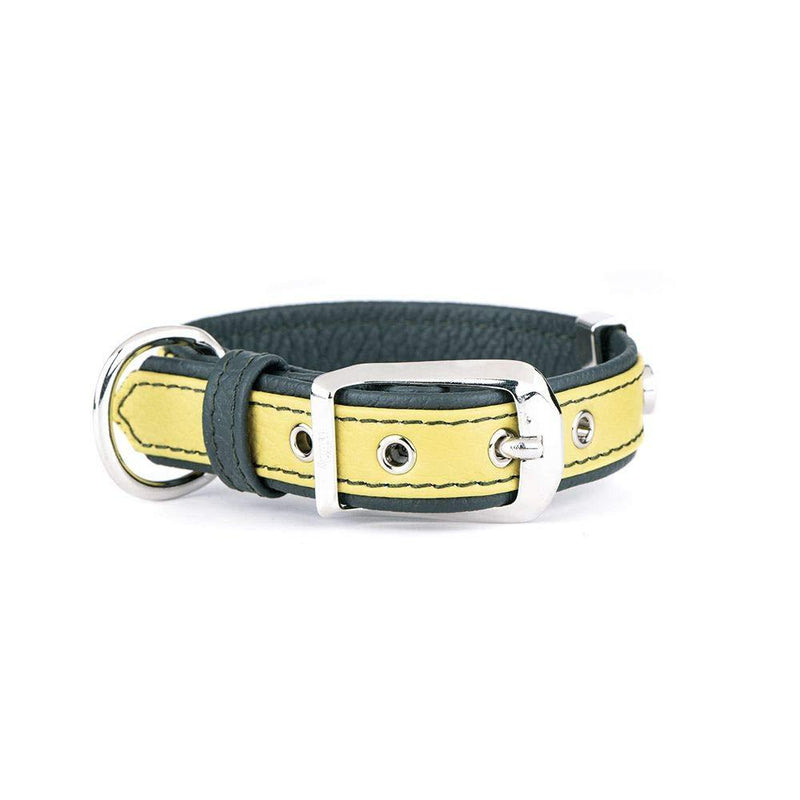 My Family Leather Collar Made in Italy Firenze Collection Da 30 a 36 cm Lemon - PawsPlanet Australia