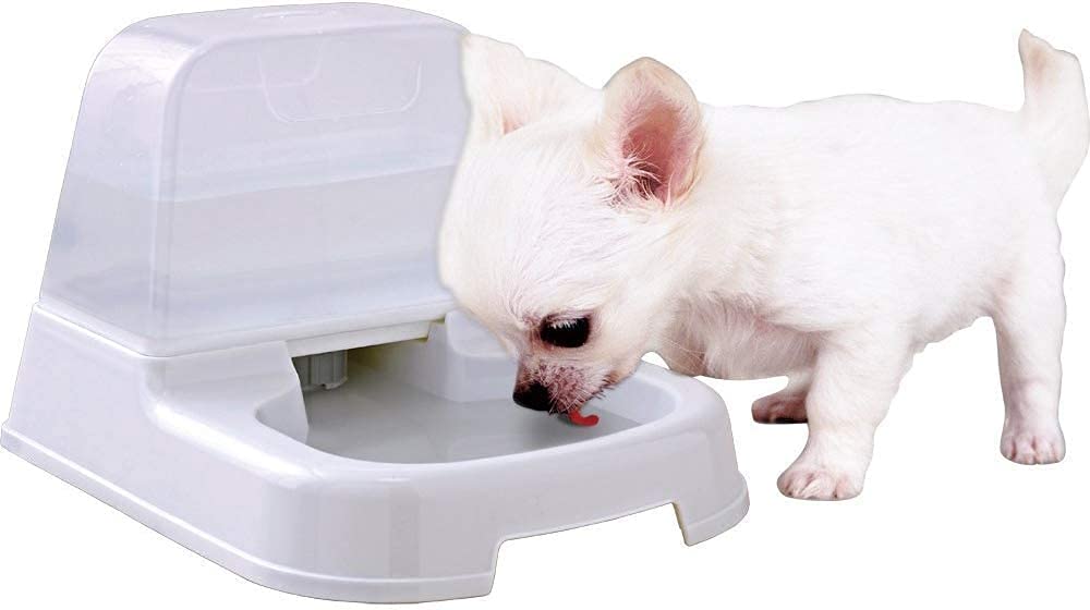 Iris Ohyama, Water dispenser for 2 L, water supply regulator, no overflow with anti-drip system, for dog & cat - Pet Water Feeder J-200 - White - PawsPlanet Australia