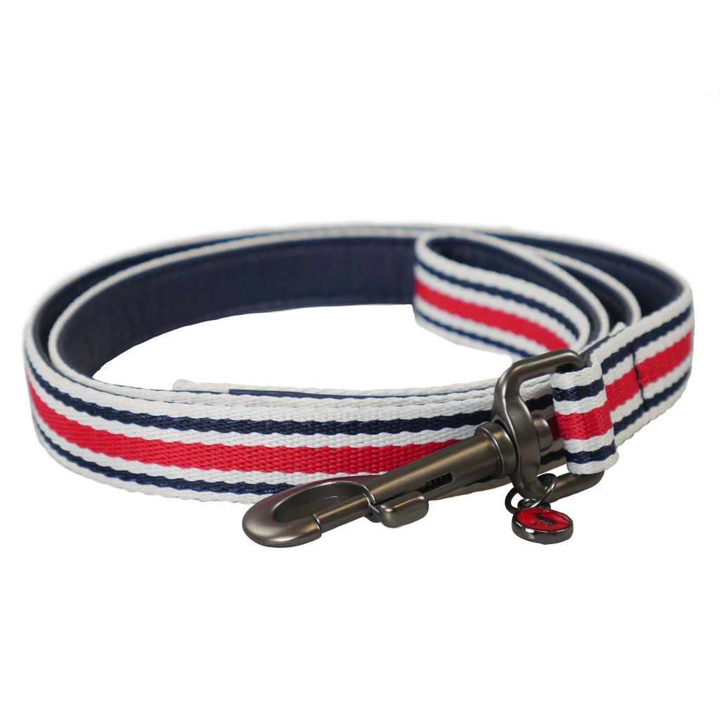 JOULES - STRIPED DOG LEAD - PawsPlanet Australia