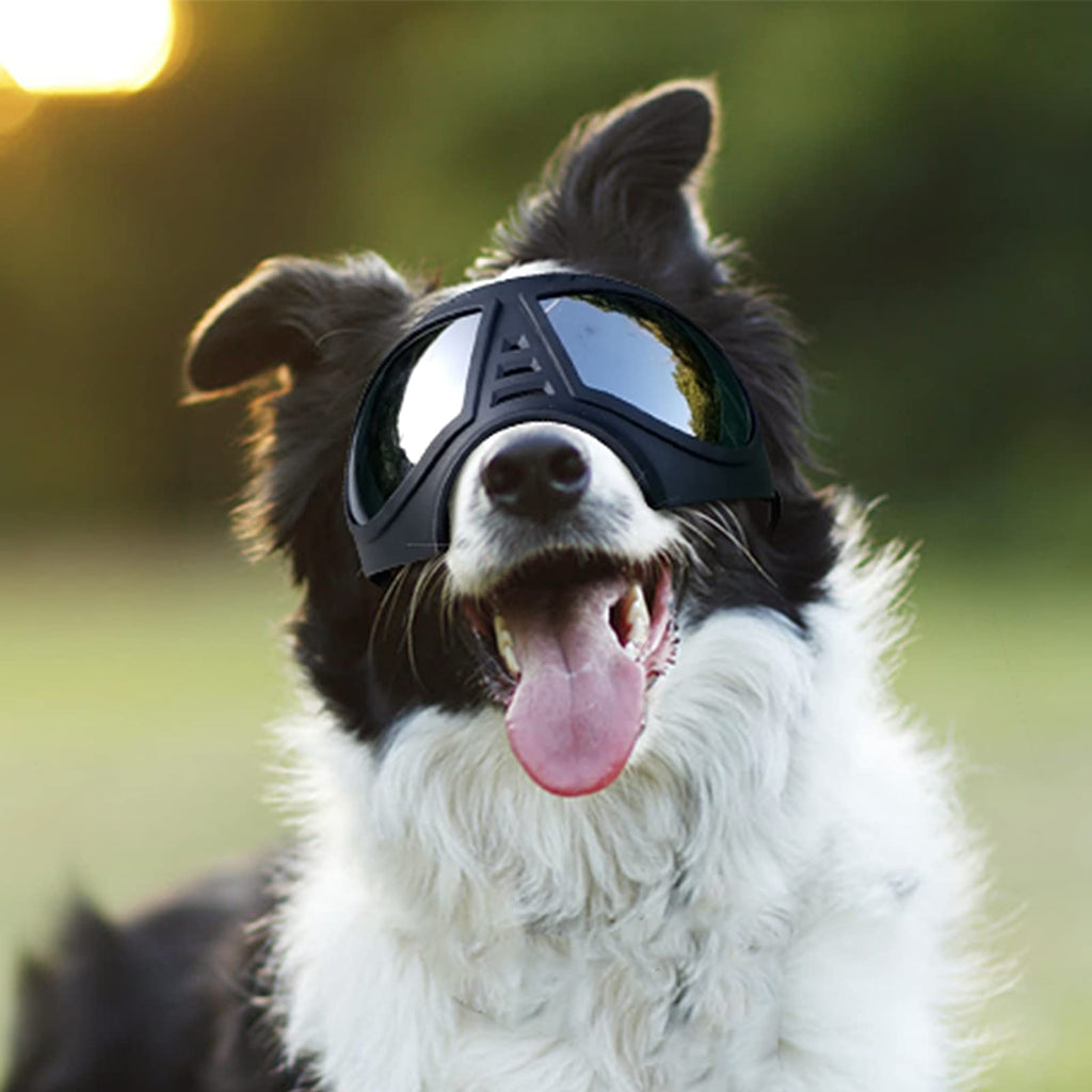 PETLESO Dog Goggles for Large Dog Pet Sunglasses Cool Adjustable Eye Protection Goggles- Black - PawsPlanet Australia