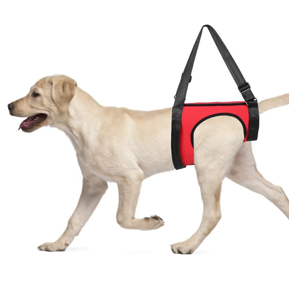 YOUTHINK Dog Support Harness Pet Walking Aid Lifting Pulling Vest for Old & Injured Dogs(Rear Leg L) - PawsPlanet Australia