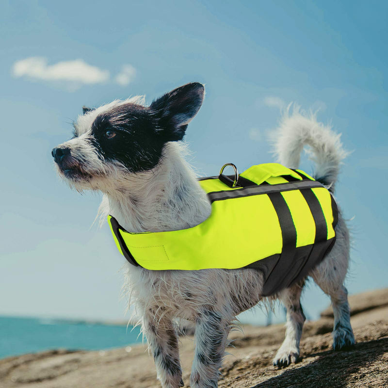 PETLESO Dog Life Jacket High Visibility Floatation Pet Life Vest with Handle(Green) - S - PawsPlanet Australia