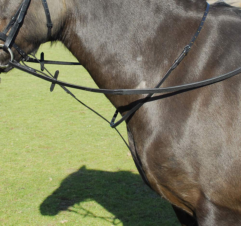 Windsor Leather Standing Martingale in Black or Havana Pony, Black - PawsPlanet Australia