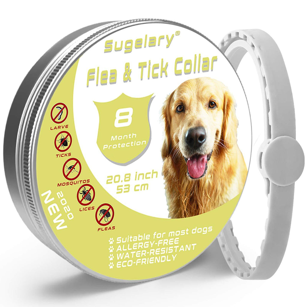 Natural Flea and Tick Collar for Dogs (8 Months) Flea and Tick Prevention - with Essential Oil Plant Extracts - Hypoallergenic One Size Fits All Dog 1 - PawsPlanet Australia