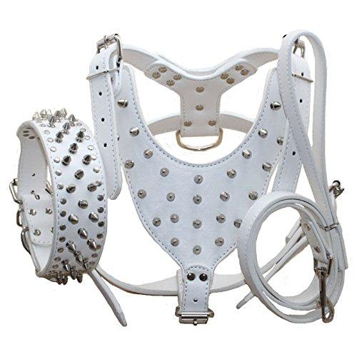 haoyueer Leather Spiked Studded Medium & Large Dog Collars, Harnesses & Leashes 3Pcs Matching Set for Pit Bull,Mastiff, Boxer, Bull Terrier (XL, White) XL - PawsPlanet Australia