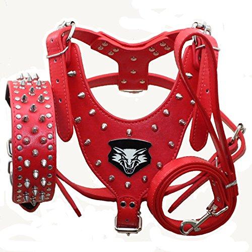 haoyueer Medium & Large Dog Leather Spiked Studded Dog Harness,Collar & Leash 3Pcs Set for Pit Bull,Mastiff, Boxer, Bull Terrier (L, Red) L - PawsPlanet Australia