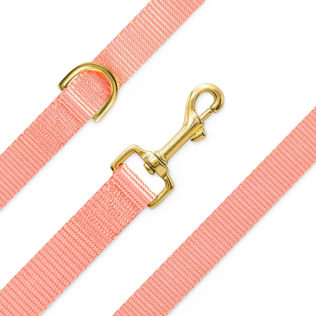 waaag Dog Lead Cat Lead, 30+ Solid Color Nylon Dog Lead for Small, Medium and Large Dogs, Classic Collection Training Lead ((Small) 5/8 in. x 5ft, Coral Pink) S - PawsPlanet Australia