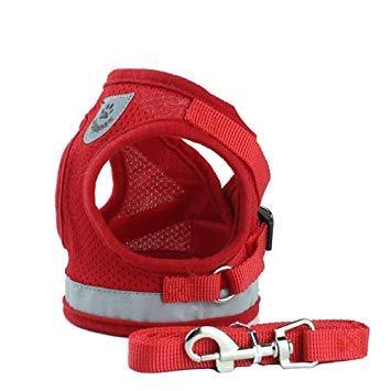 WINS Dog harness small medium dog no pull dog walking harness and lead set adjustable padded dog vest harness with leash with reflective straps M (chest girth-35-40cm) Red - PawsPlanet Australia
