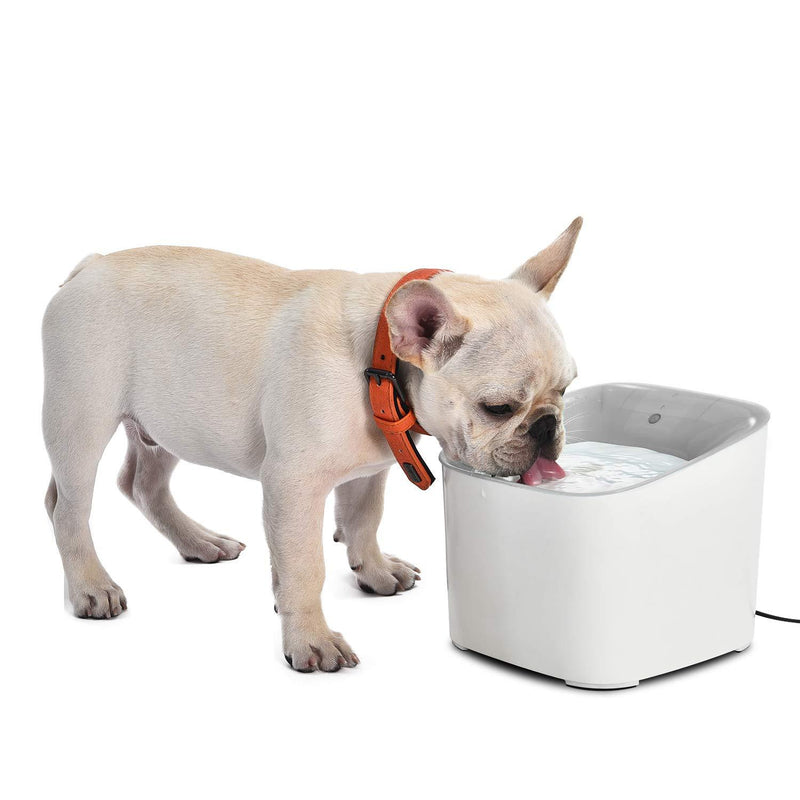 OHANA Pet Cat Water Fountain 3L Automatic Dog Water Dispenser Electric Water Drinking Feeder for Cats Dogs Pets with with Activated Carbon Filter - PawsPlanet Australia