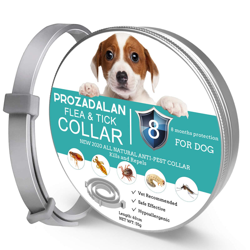 Flea Collar for Dog, 8 Months Protection Dog Flea Treatment, 100% Natural Waterproof & Adjustable Flea and Tick Collar Dogs, Help Puppies, Medium and Large Dogs Effectively Repel Lice, Fleas, Pests - PawsPlanet Australia