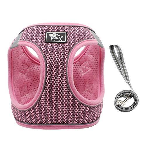 Penivo Small Dog Harness Vest Puppy Breathable Mesh Pet Dog Harness and Leash Set Reflective for Small Medium Dogs Chest Strap Walking Lead (L,40-45cm, Pink) L,40-45cm - PawsPlanet Australia
