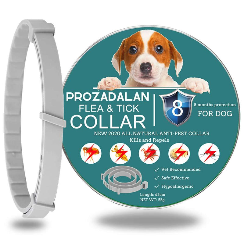 PROZADALAN Flea Collar for Dogs, Tick Collar for Dogs, Flea and Tick Collar for Dogs, Waterproof Dog Flea Collar, Unique Plant Based Formula, Small to Extra Large, 8 months Protection, Universal Gray - PawsPlanet Australia