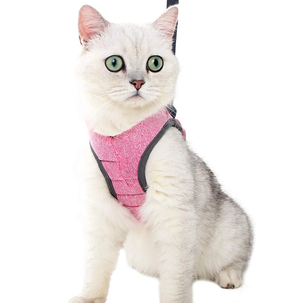 Cat Harness And Leash Set Ultra Light For Walking Escape Proof Set Adjustable Soft Mesh Step in Padded Cushioning Running Vest Jacket For Kitten Pets Puppy M Pink - PawsPlanet Australia