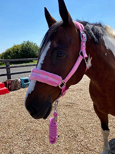 Equipride Horse Print Faux Lined Nylon Headcollars with Matching Lead Rope PINK (Mini Shetland) - PawsPlanet Australia