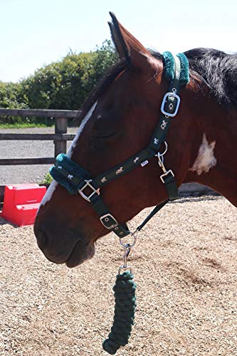 Equipride Horse Print Faux Lined Nylon Headcollars with Matching Lead Rope Green (Full) Full - PawsPlanet Australia