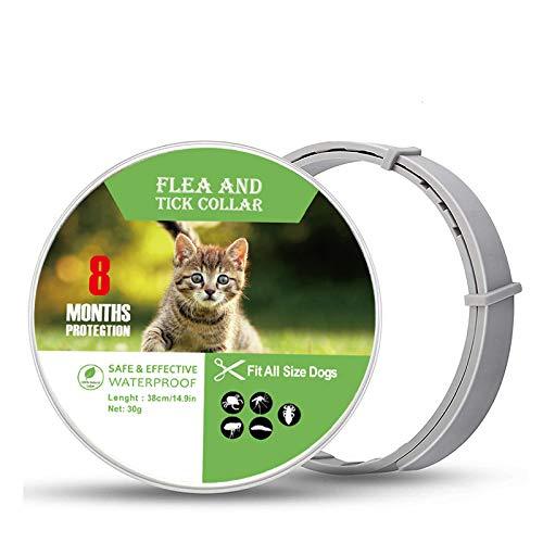 Flea and Tick Collar for Dogs and Cats, Flea Treatment for Puppy Kitten, Adjustable Size, Waterproof Natural Safe, 8 Months Protection,1 Pack (Small) Small - PawsPlanet Australia
