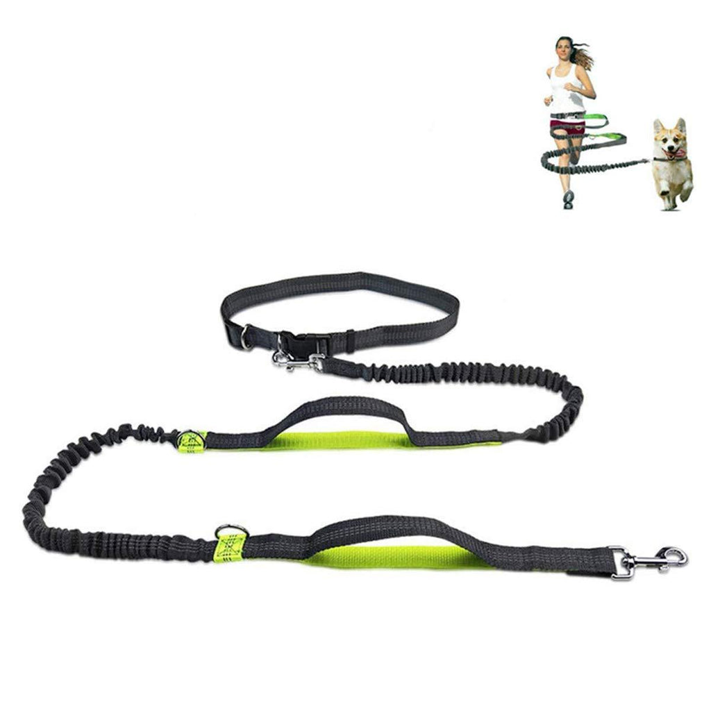 Pecco Hand Free Dog Lead, Dog Walking Belt Ajustable Dog Leash Waist Belt Pet Dog Leash Coupler Running and Jogging Lead Belt with Retractable Bungee - PawsPlanet Australia