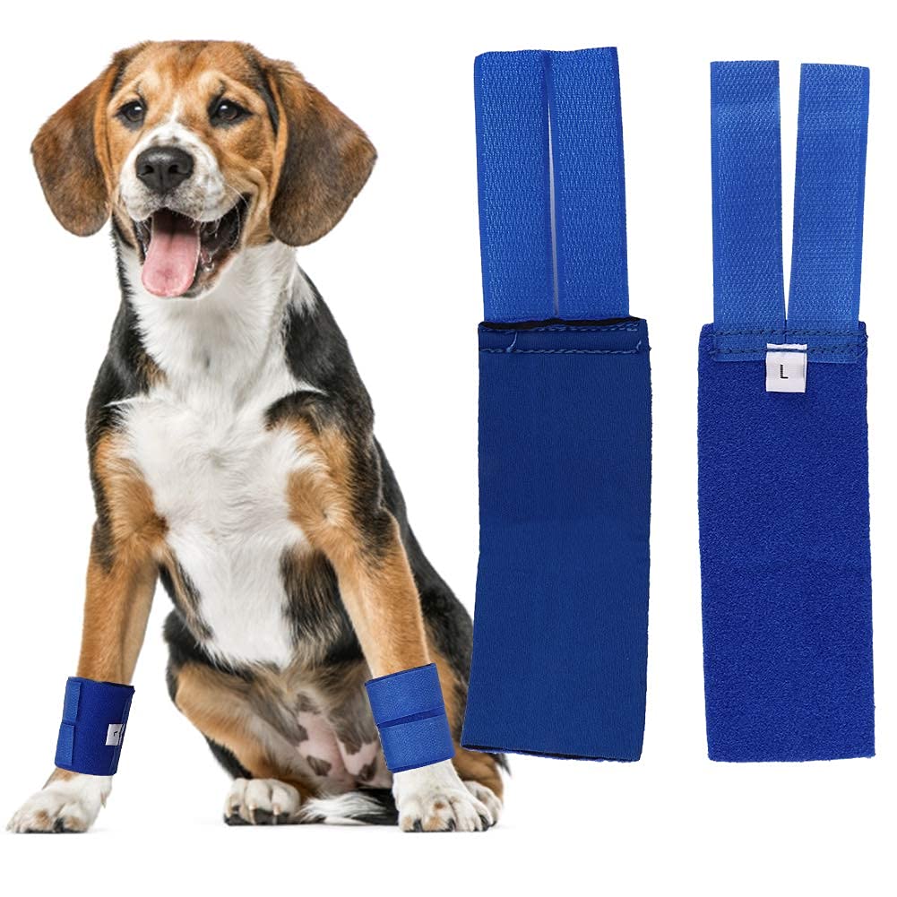 2Pcs Dog Front Leg Braces Canine Paw Compression Wraps Pet Knee Pad Dog Elbow Protector Prevents Injuries Sprains Helps Loss Stability(Blue L) Blue L - PawsPlanet Australia