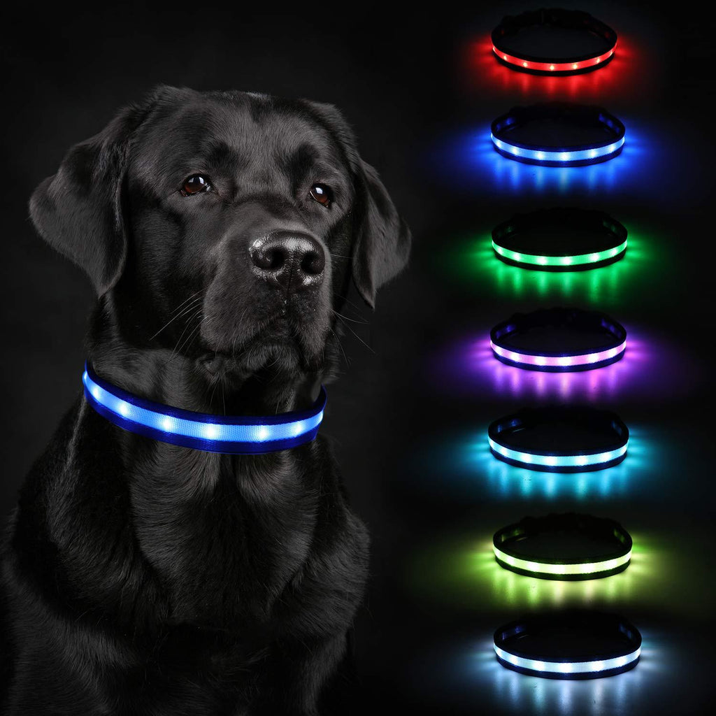 HAOPINSH LED Dog Collar, 2020 Newest Dog Collar Lights Rechargeable Led Lighted Up Dog Collar Night Safety Collar for Small Medium Large Dogs USB Charger 8 Changing (M, Blue) - PawsPlanet Australia