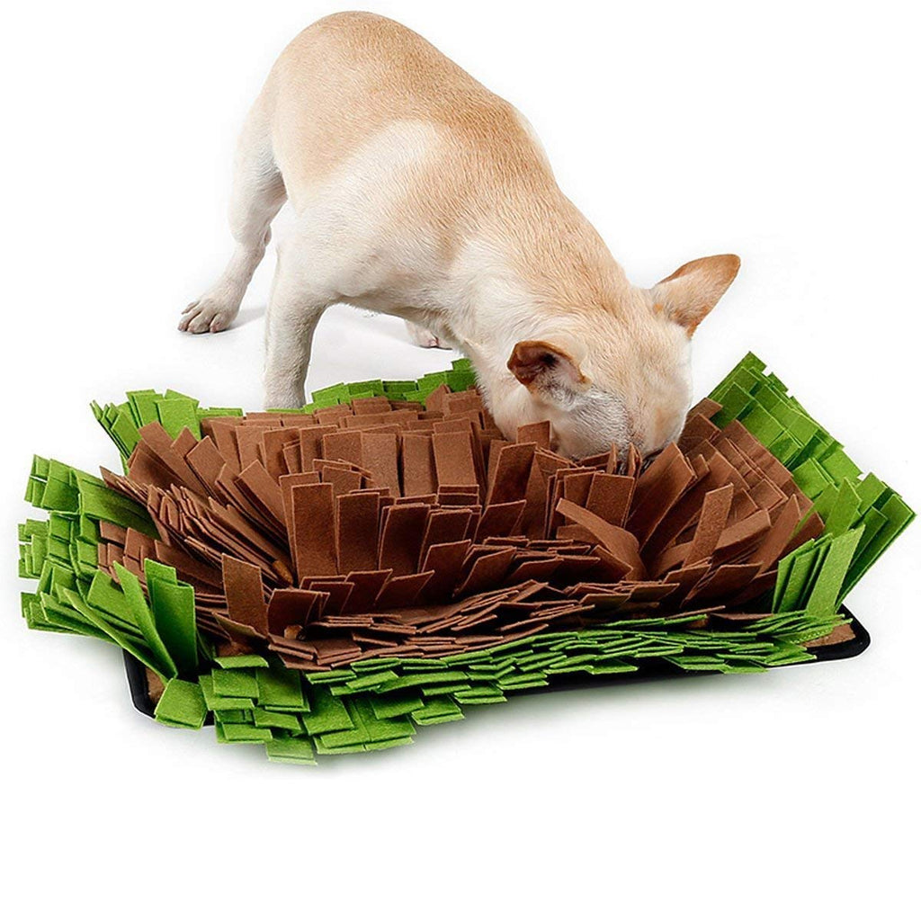 Companet Pet Dog Feeding Mat, Snuffle Mat for Dogs Interactive Pets Puzzle Toys,Dog Smell Nosework Training for Encourages Natural Foraging Skills,Durable and Machine Washable Pet Activity Play Mat Green - PawsPlanet Australia