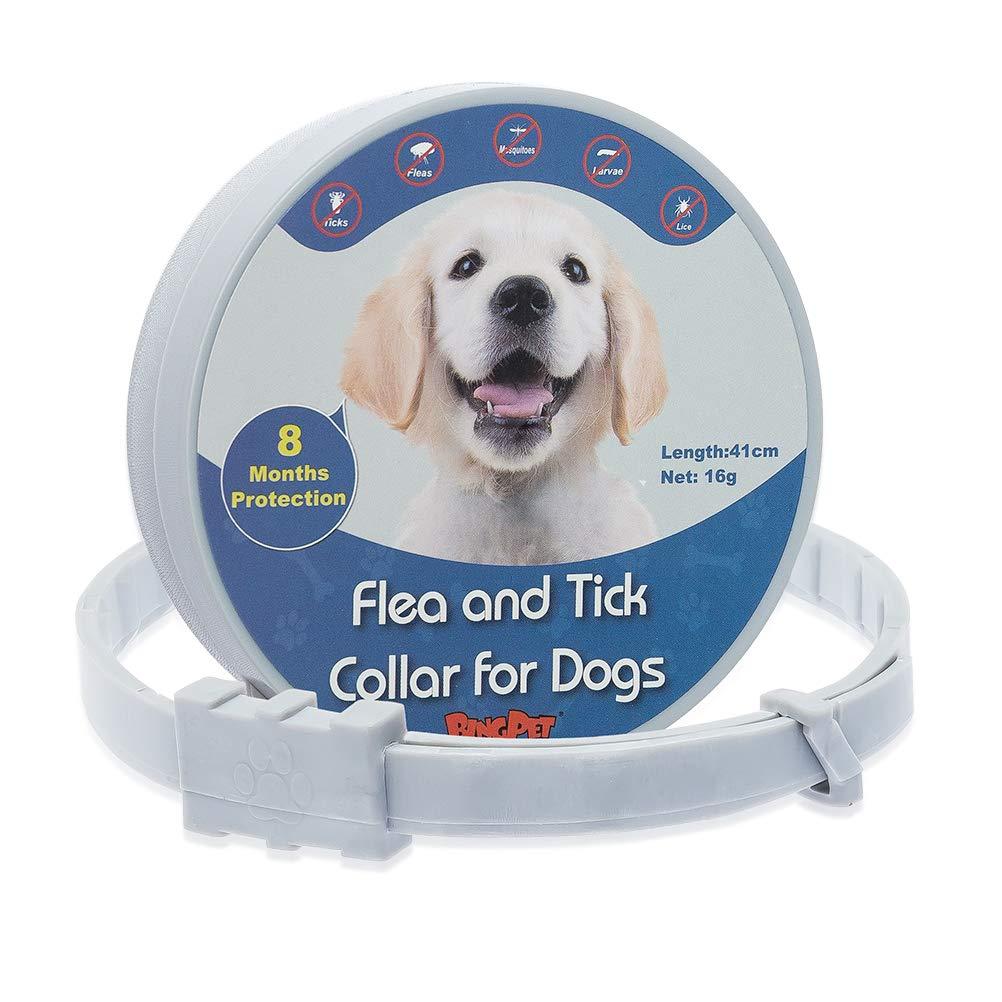 BINGPET Dog Flea and Tick Control Collar - 8 Months Protection - Waterproof Natural Pet Doggie Kitty Anti Flea Collar with Safe Essential Oil, Adjustable 41cm for Small Dogs Cats Puppies - PawsPlanet Australia