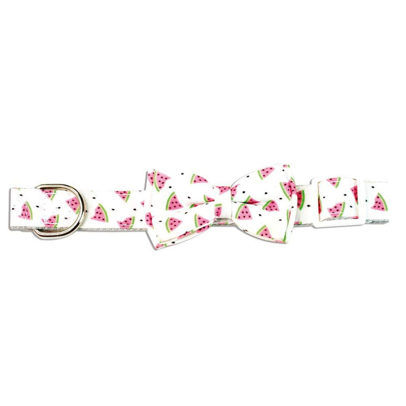 Crosses Collar Watermelon Size: 1.5 x 35 cm 1,5 x 35 cm - PawsPlanet Australia