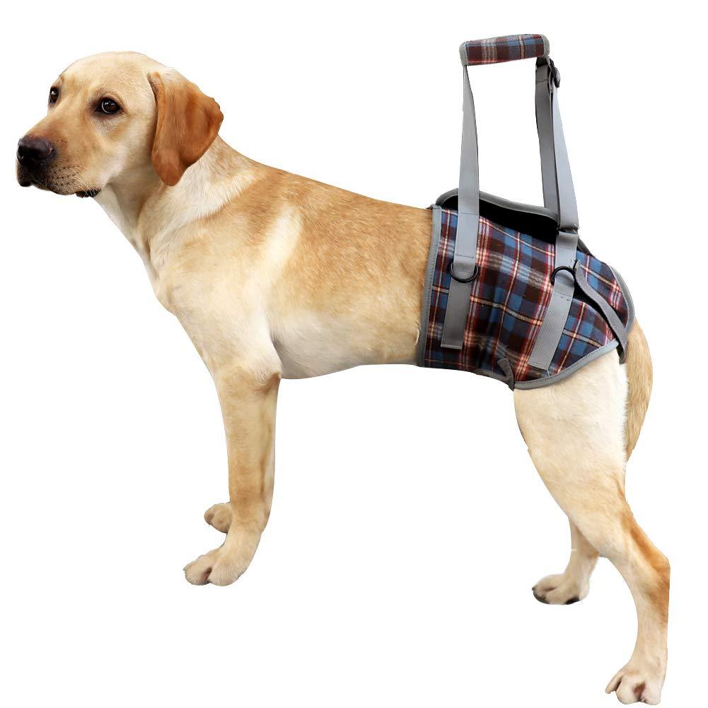 LIANZIMAU Dog Support Harness For Back And Front Legs Lifting Rehabilitation Vest Adjustable Portable Mesh Padded No Pull With Handle For Helping Weak Injured Old Disable Dogs Walking XL Back blue grid - PawsPlanet Australia