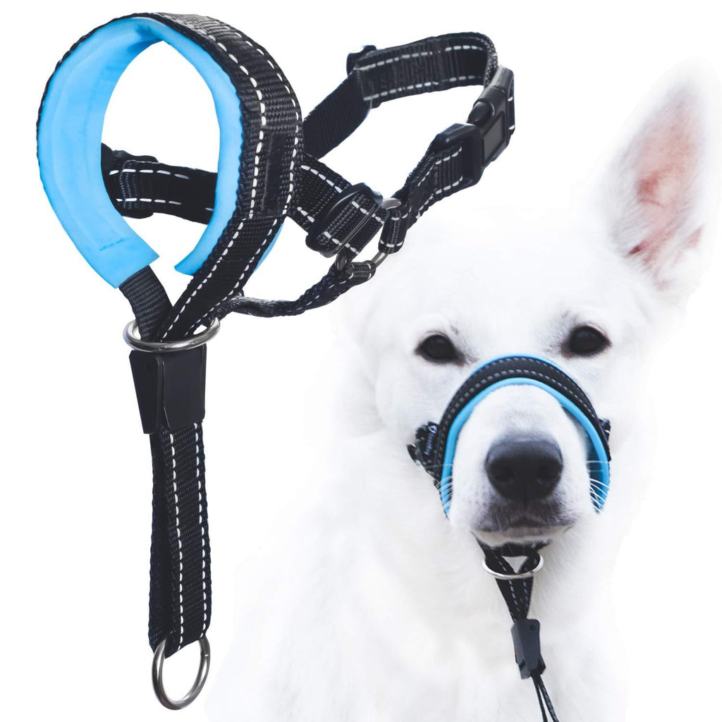GoodBoy Dog Head Halter with Safety Strap - Stops Heavy Pulling On The Leash - Padded Headcollar for Small Medium and Large Dog Sizes - Head Collar Training Guide Included (Size 2, Blue) Black Nylon / Blue Padding - PawsPlanet Australia