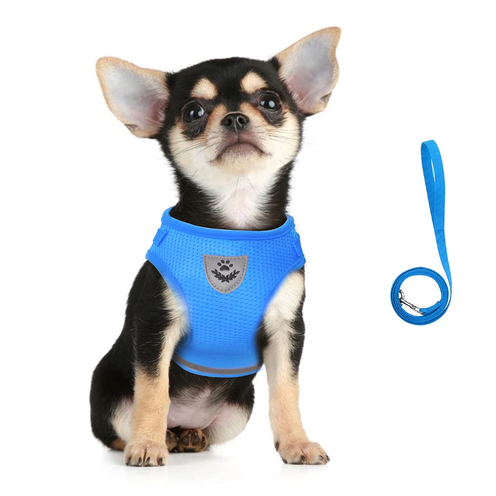 FEimaX No Pull Dog Harness and Leash Set, Soft Mesh Adjustable Lightweight Puppy Harnesses with Reflective Strap, Escape Proof Small Dog Cat Vest for Outdoor Walking XS Azure - PawsPlanet Australia