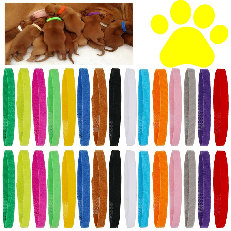 30 Pcs Puppy Whelping Collars Newborn Pet Collars Double-Sided Soft Adjustable ID Bands Puppy Collars for Litter Newborn Pet Dog Cat 15 Colors Large (30 Count) - PawsPlanet Australia