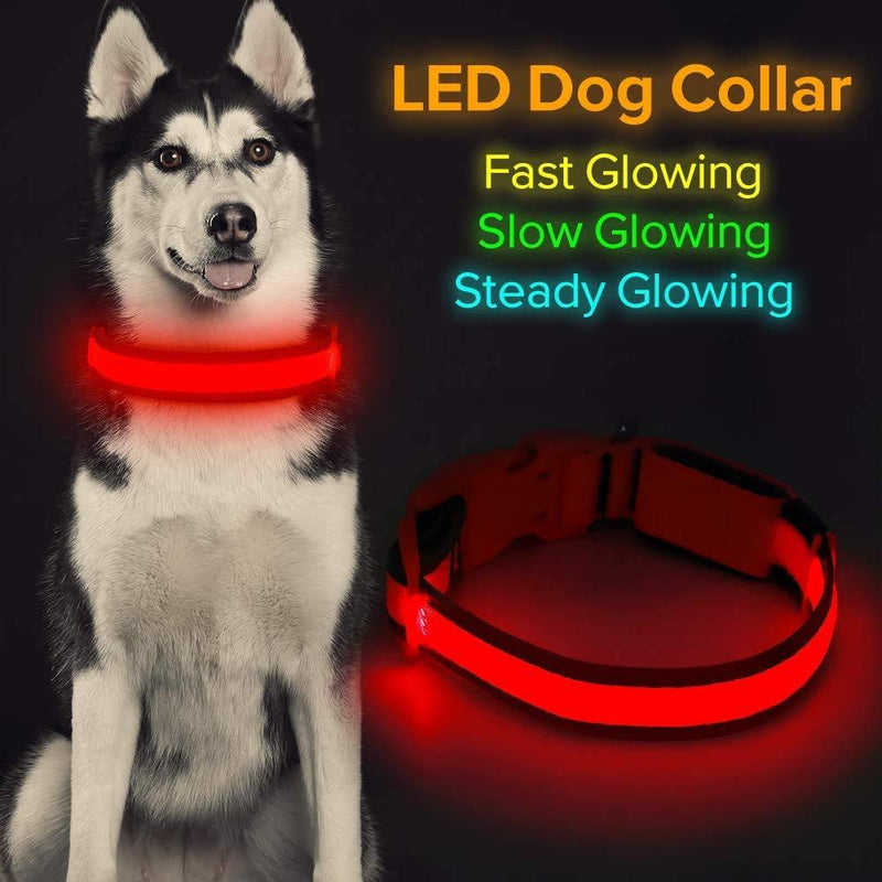 LED Dog Collar Micro USB Rechargeable Light Up Glowing Pet Collar Comfortable Soft Mesh Safety Dog Collar for Small Medium Large Dogs (M, Red) M Red with Reflective Strip - PawsPlanet Australia