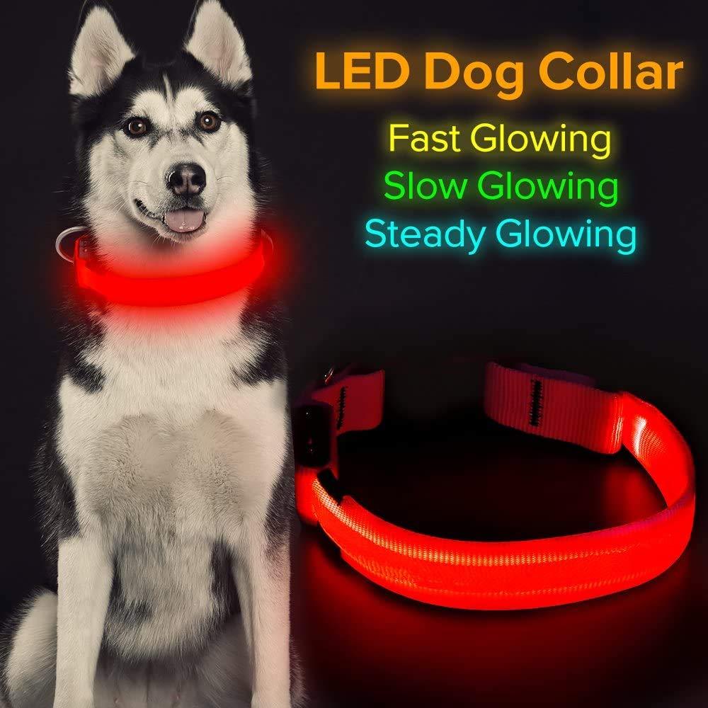 Iseen Flashing Dog Collar LED Dog Collar Dog Christmas Collar Ultra Bright USB Rechargeable Adjustable Size Dog Collars for Puppy Medium Large Dogs - Increased Visibility & Safety(M, Red) M - PawsPlanet Australia