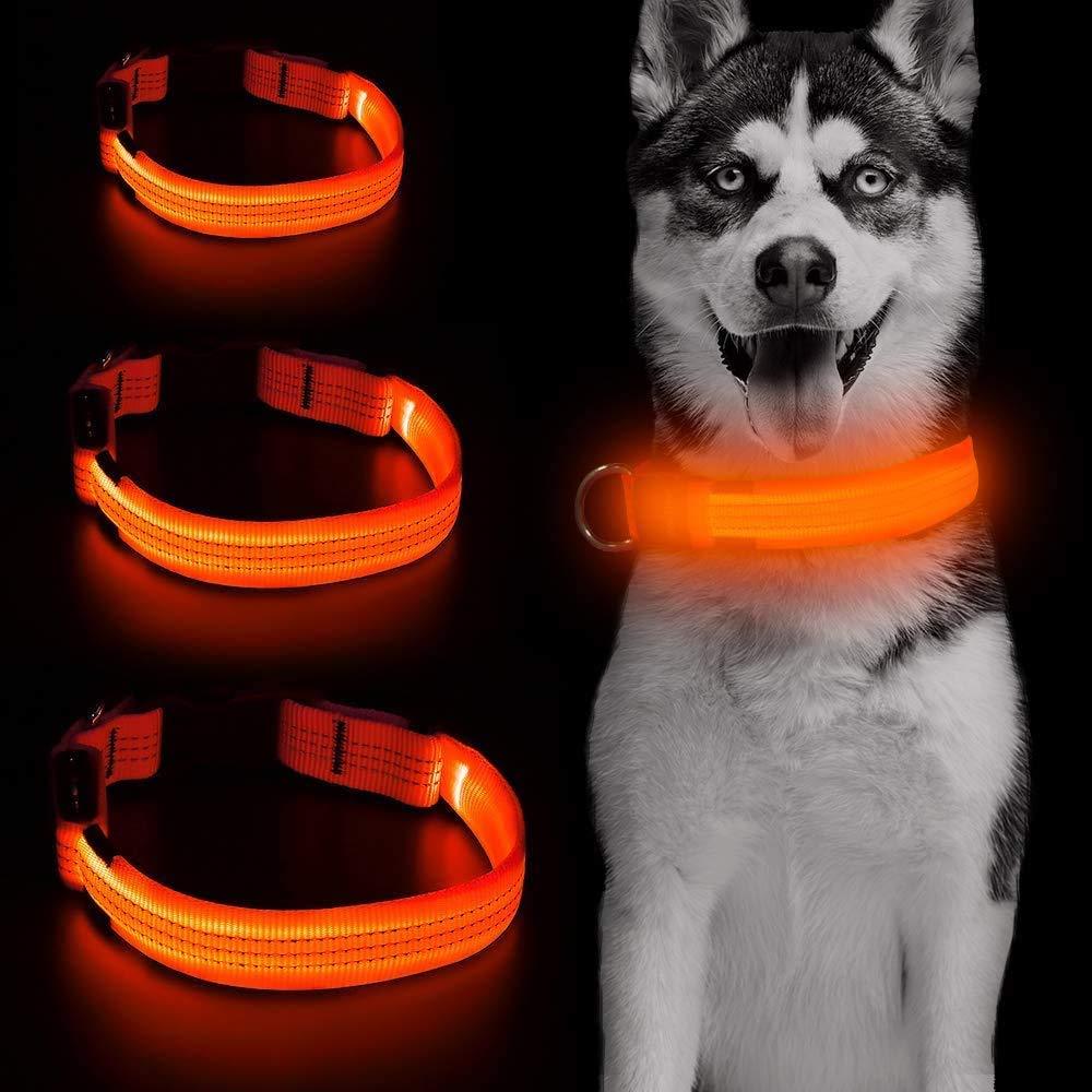 Iseen Led Dog Collar Illuminated Dog Collars Reflective Dog Collar Dog Lights for the Dark Dogs USB Rechargeable Adjustable Size Dog Collars for Puppy Dogs S Orange - PawsPlanet Australia