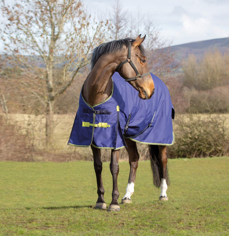 Asker 200g Horse Standard Neck Medium Weight Mediumweight Turnout Rug - Navy Blue 5ft6" - PawsPlanet Australia