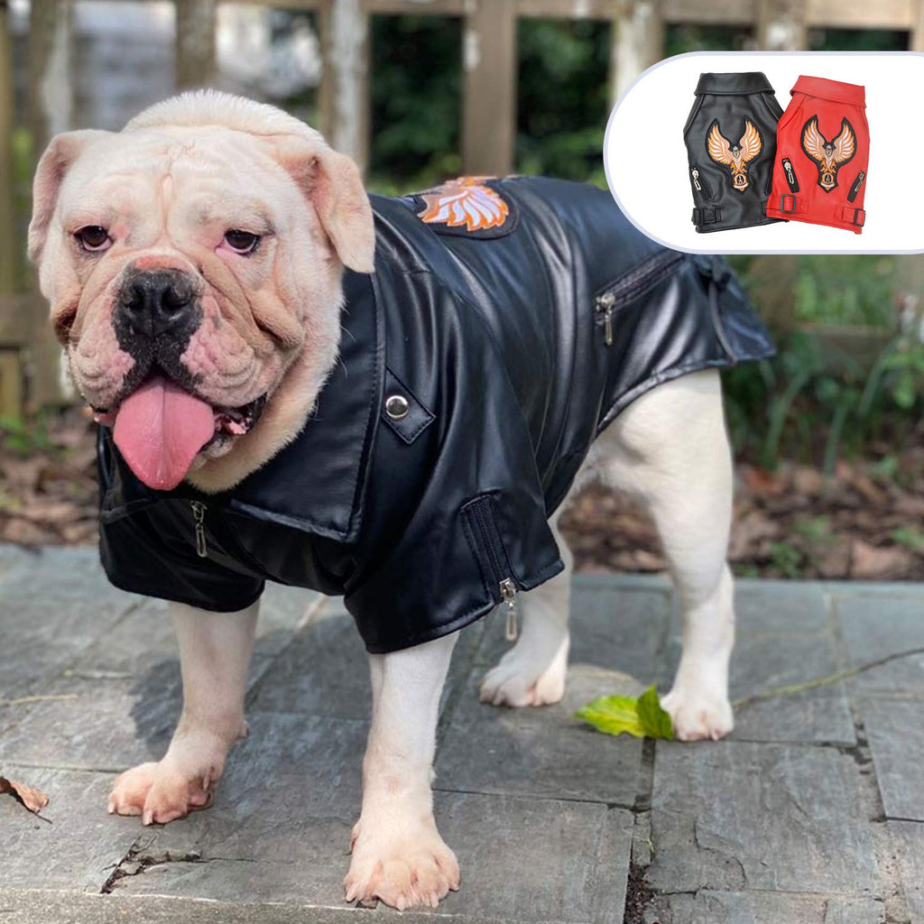 Lovelonglong Cool Dog Leather Jacket, Warm Coats Dogs Windproof Cold Weather Coats for Large Medium Small Dogs With Eagle Embroidery Black B-S B-S (Bulldog -25lbs) Black-Eagle - PawsPlanet Australia