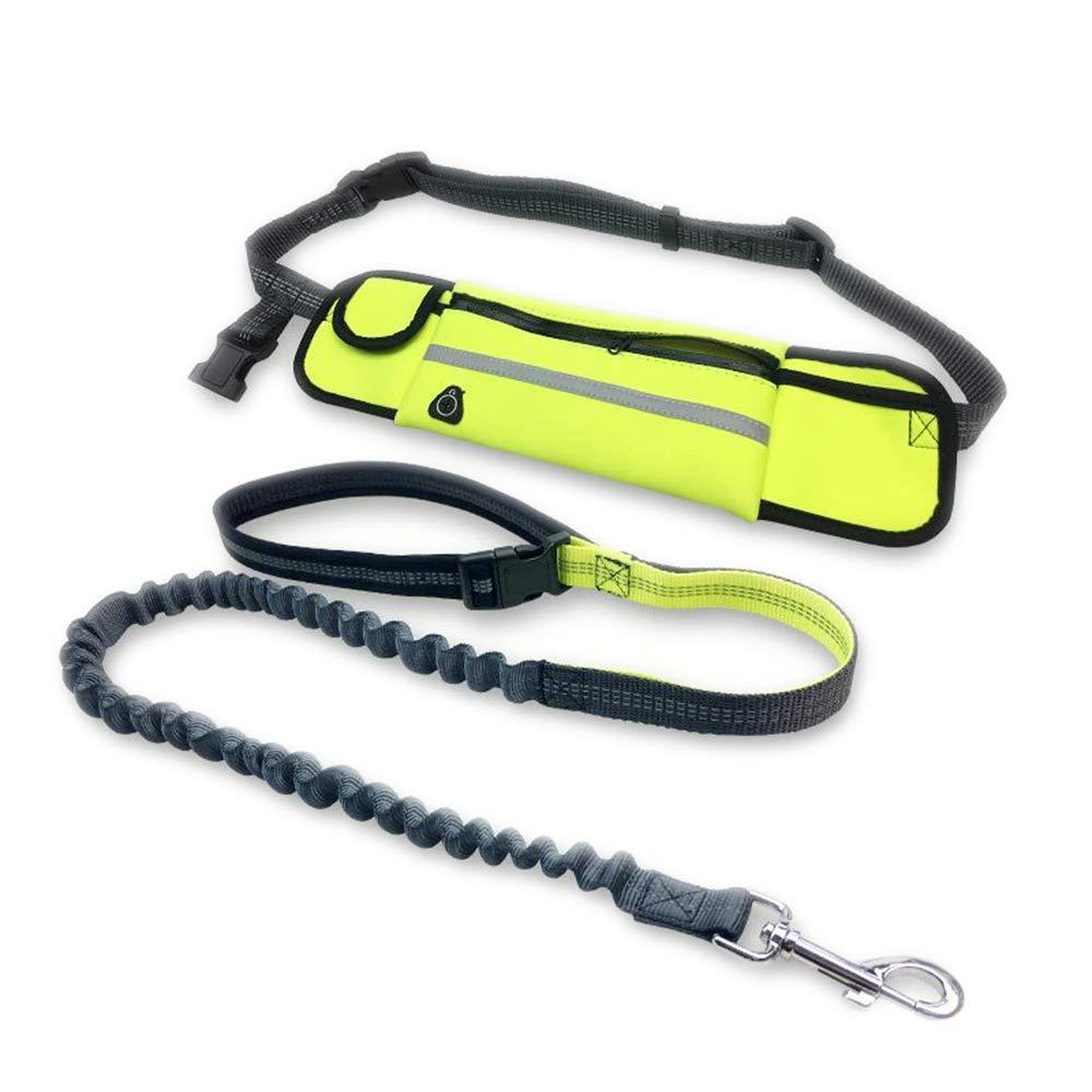 Andiker Hand-free Dog Leash Outdoor Running Adjustable Waist Belt Waterproof and Nylon Retractable Pet Leash Suitable for Most of Dogs (Green) Green - PawsPlanet Australia
