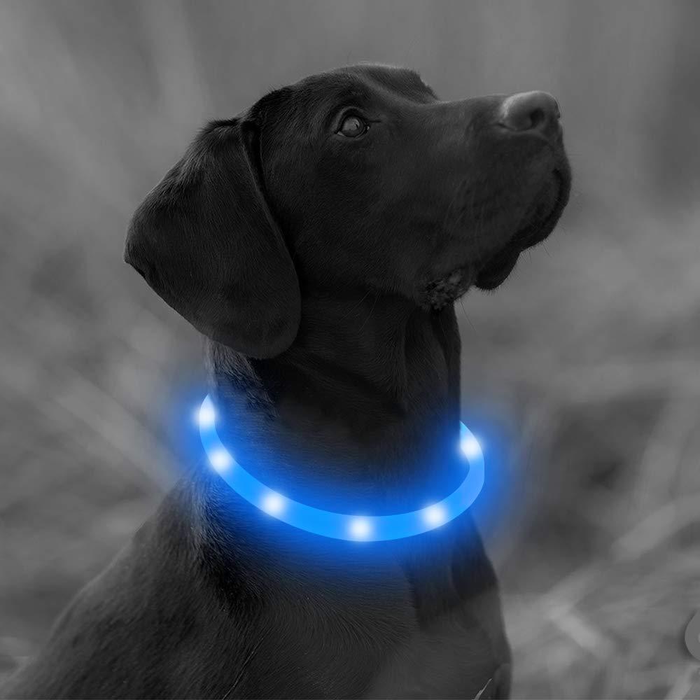 Fun Pets Ultra Bright Waterproof USB Rechargeable LED Dog Safety Collar - Cut To Fit Any Size - Rechargeable Lithium Battery - Increased Visibility & Safety For Your Pets (Blue) Blue - PawsPlanet Australia