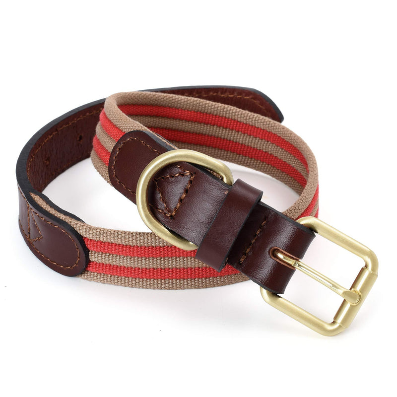 Mile High Life | Premium Canvas Leather Dog Collar | Metal Pin Buckle Ring Dog Collar | Genuine Leather Belt Collar | For Medium Dog Large Dogs(M, Red ) Medium Neck 15"-18" -40 lb - PawsPlanet Australia