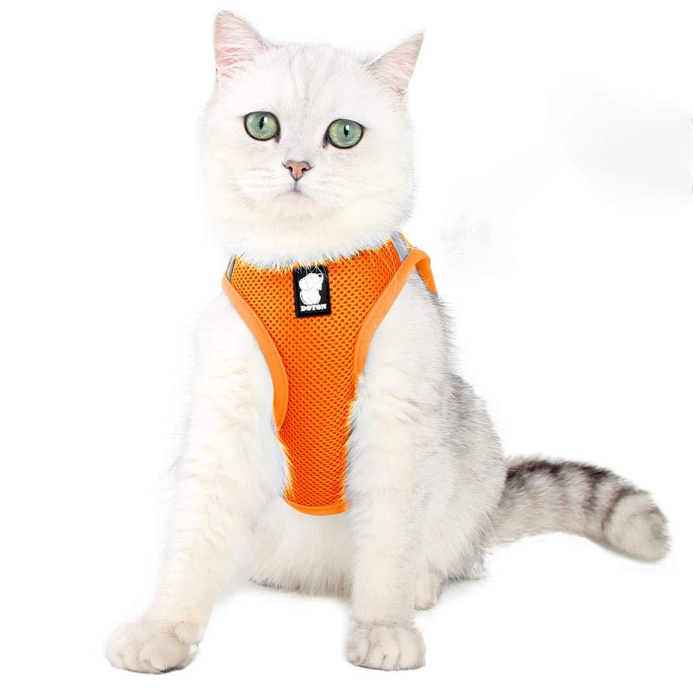Cat Harness And Leash Set Ultra Light For Walking Escape Proof Set Adjustable Soft Mesh Step in Padded Cushioning Running Vest Jacket For Kitten Pets Puppy M Mesh orange - PawsPlanet Australia