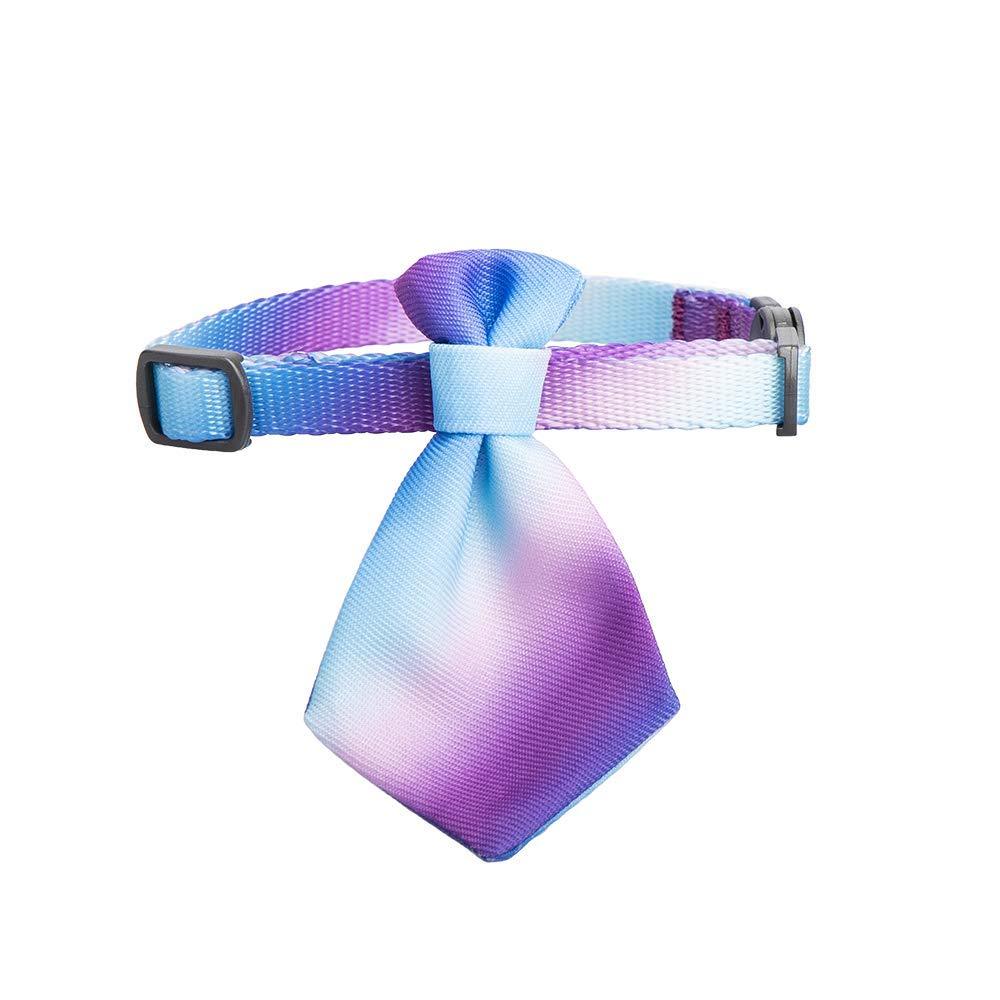 pidan Cat Necktie CollarPet Necktie for Cat Dog Tie Collar with Bow Breakaway Adjustable Anti-Suffocation Safe Buckle Smooth Polyester 7-12 In (Ombre-Steam Light) Ombre-Steam Light - PawsPlanet Australia