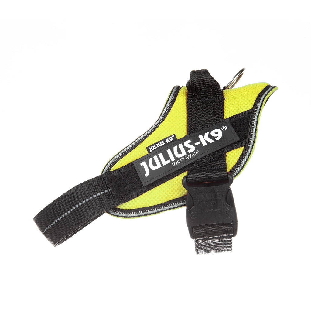 Julius-K9 Dog Harness, Neon, One Size - PawsPlanet Australia