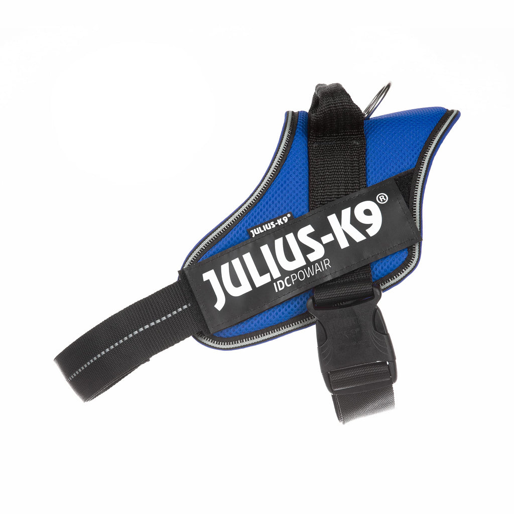 Julius-K9 Dog Harness, Blue, One Size - PawsPlanet Australia