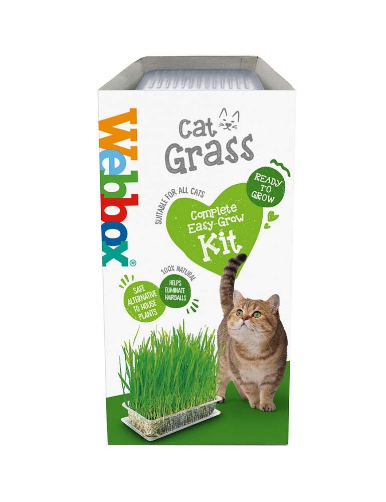 Webbox Cat Grass Kit 120g - PawsPlanet Australia