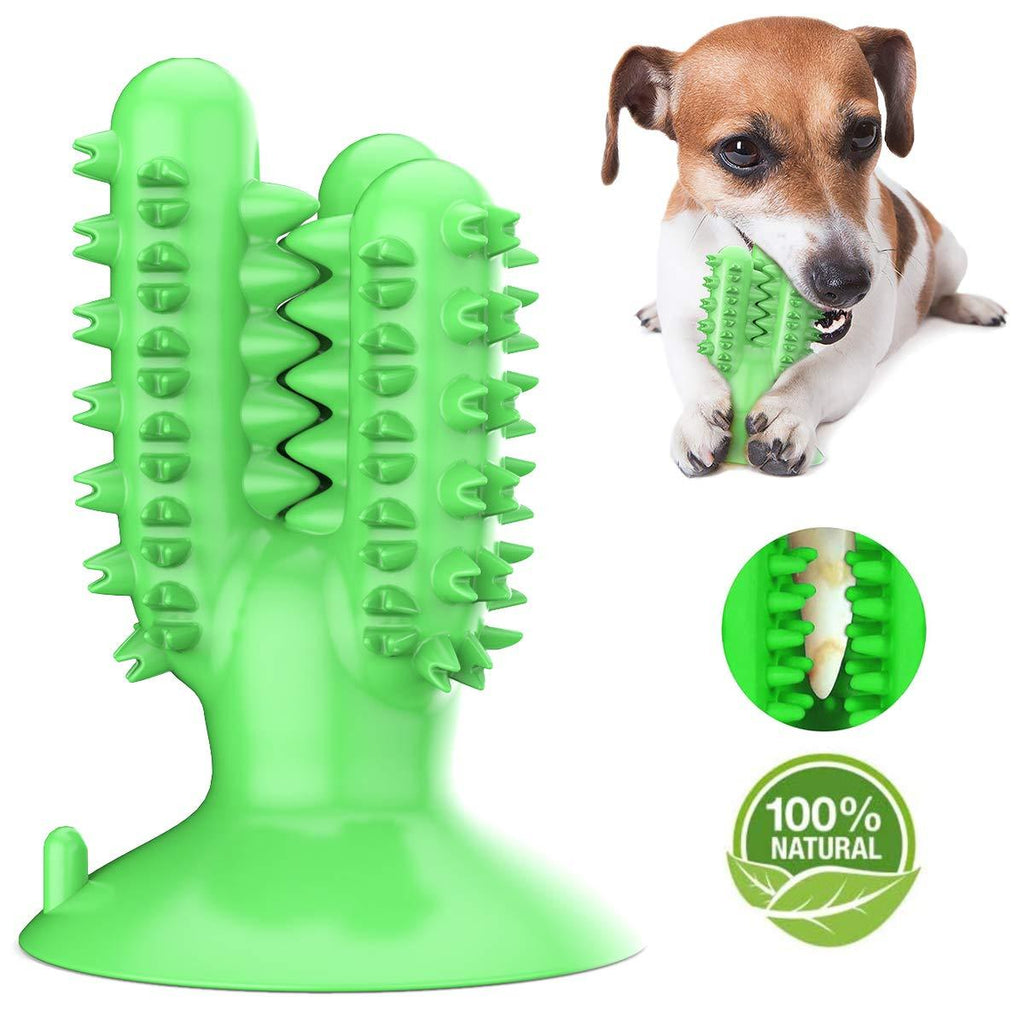 AEITPET Dog Toy Dog Toothbrush Stick Puppy Chew Toys for Medium Large Dogs Brushing Effective Stick Dog Tooth Cleaning Pets Nontoxic Natural Rubber Dog Puppy Dental Care Bite Resistant (Grün) Green - PawsPlanet Australia