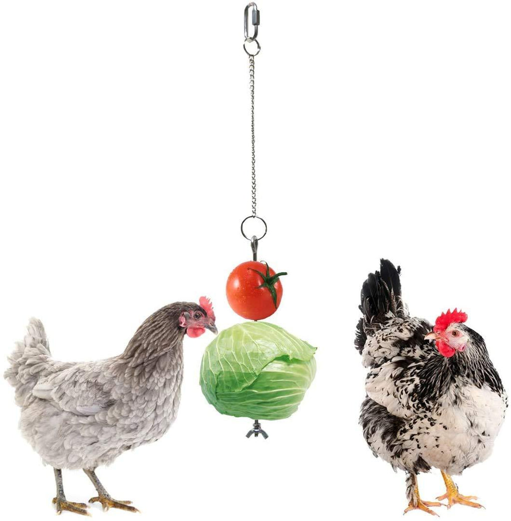 IOUH Chicken Parrot bird Hanging feeder - Chicken Veggies Skewer Fruit Holder Hens Stainless Steel Feeder toy Foraging Coop Toys Bird Treat Skewer - PawsPlanet Australia