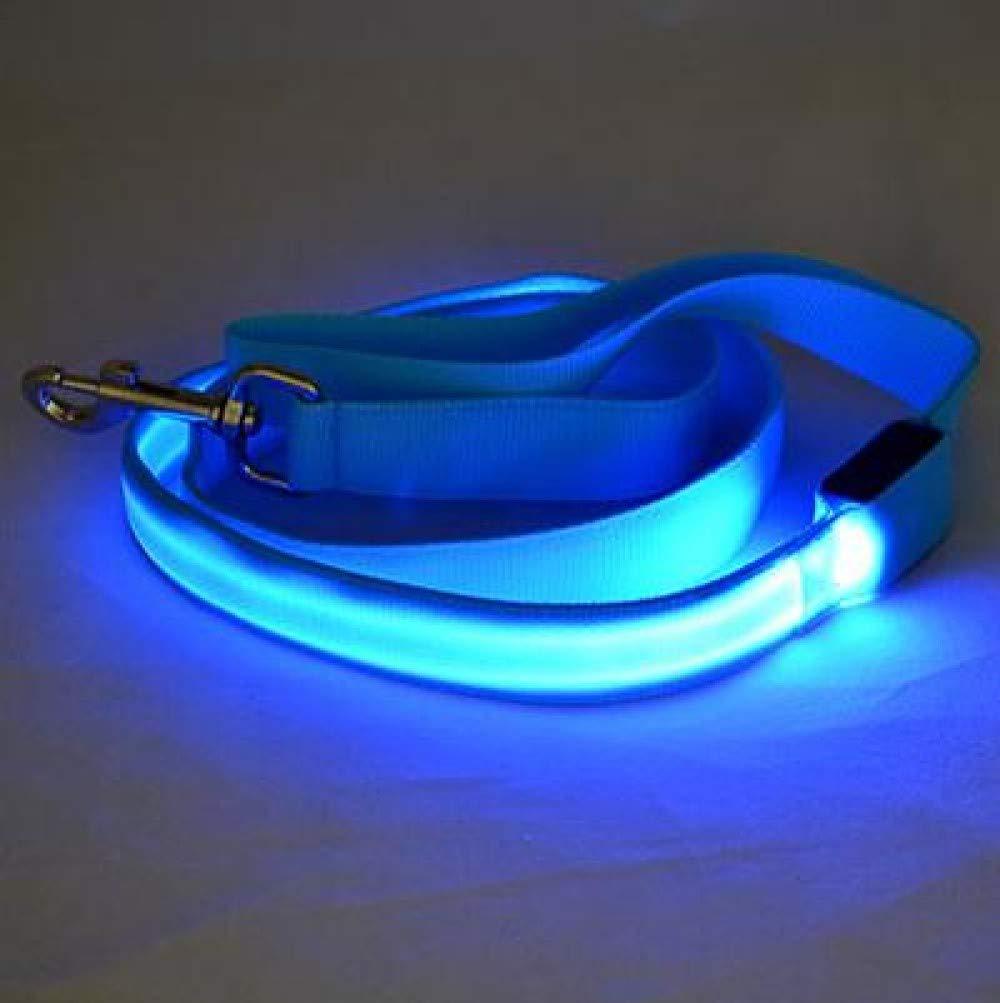 Vita Sharks Light Up LED Dog Lead / Leash for Safe Night Time Visibility in The Dark. Weatherproof Bright Visible Nylon Construction. Cool Fun Funky Dog Accessories (Blue) Brilliant Blue - PawsPlanet Australia