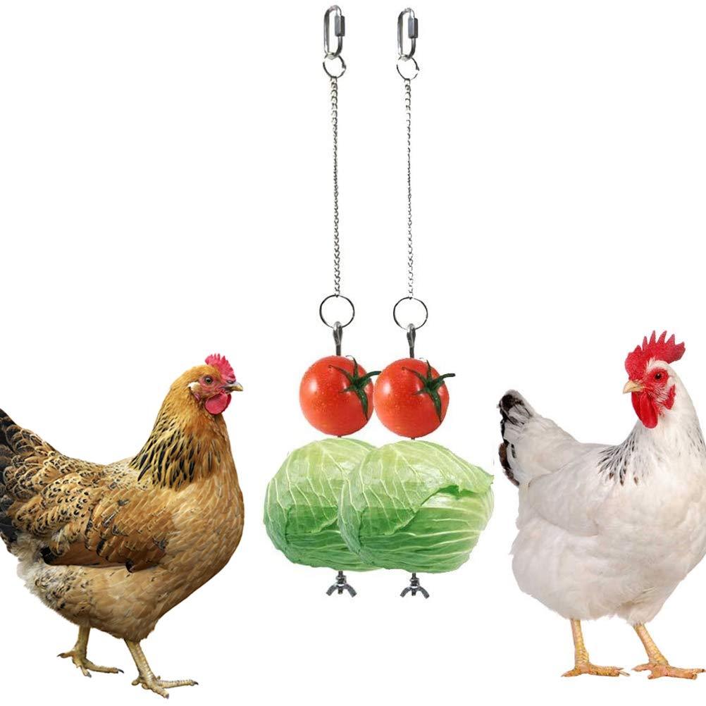 Merkts 2 Pcs Parrot Skewerï¼ŒStainless Steel Pet Chicken Hanging Feeder Vegetable Fruit Stick Holder - PawsPlanet Australia
