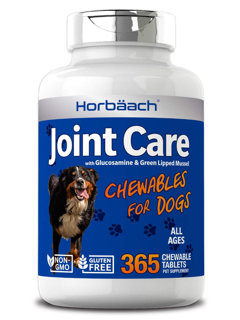 Joint Care for Dogs | 365 Liver Flavour Chewable Tablets | Hip & Joint Health | Glucosamine, MSM, Green Lipped Mussel, Hyaluronic Acid + More | Non-GMO, Joint Aid Supplement for Dogs - PawsPlanet Australia