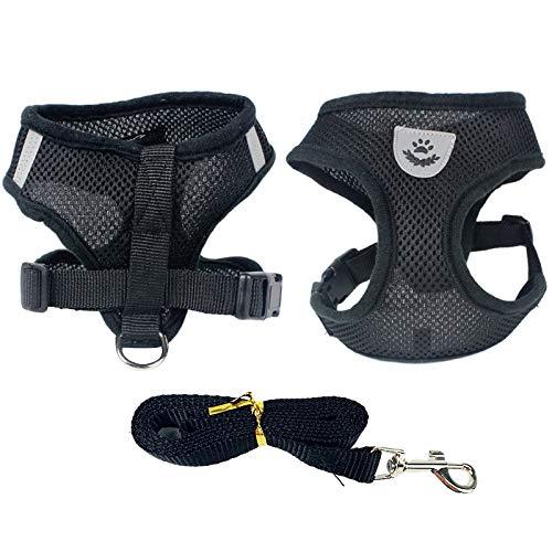 Vita Sharks Summer Air Mesh Small Dog Harness & Lead / Leash Bundle Set | Puppy Vest Harness Ideal for Chihuahua (Black) Black - PawsPlanet Australia